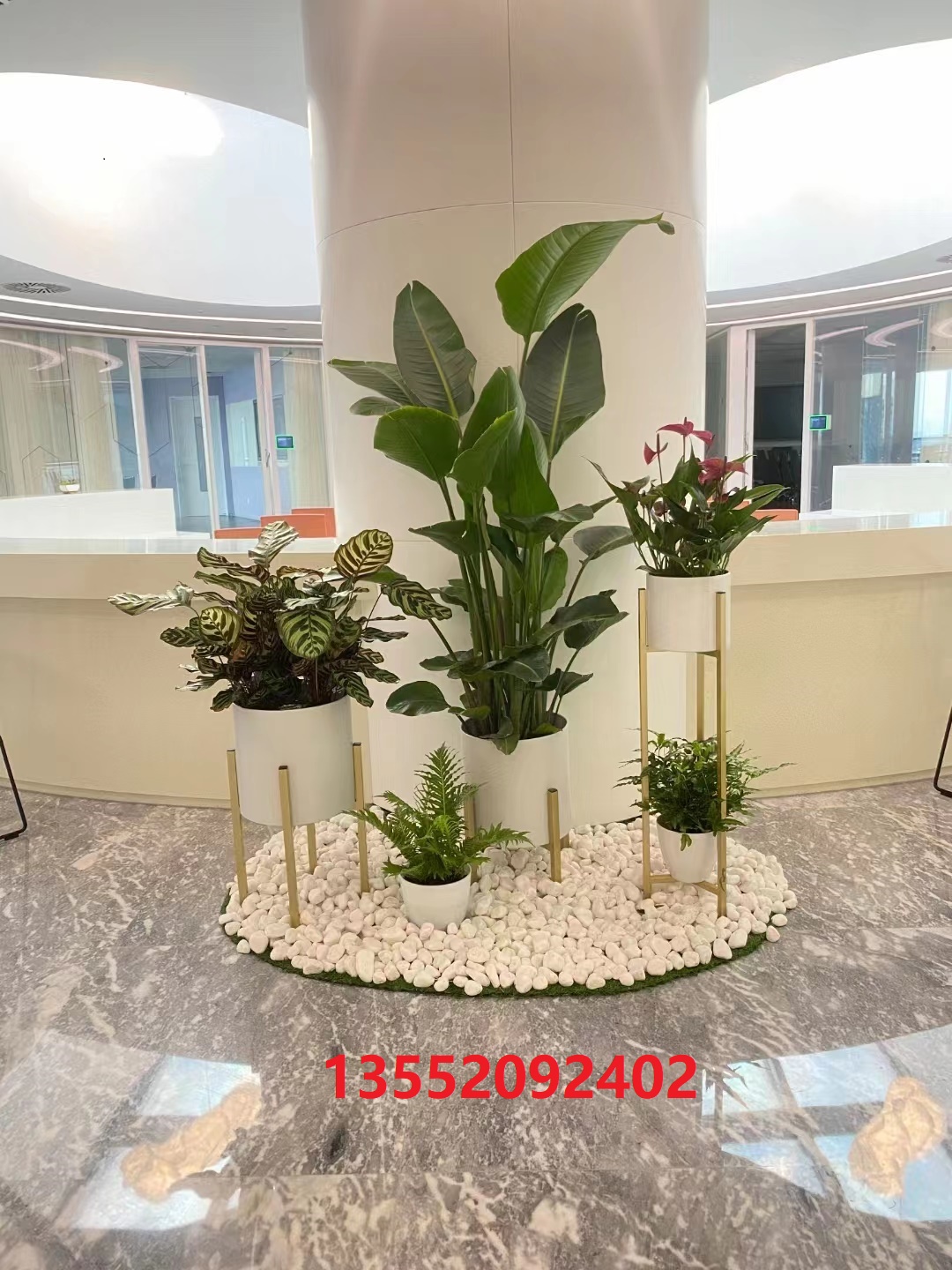 ?綠植租賃公司哪家好？如何選擇綠植租賃公司？