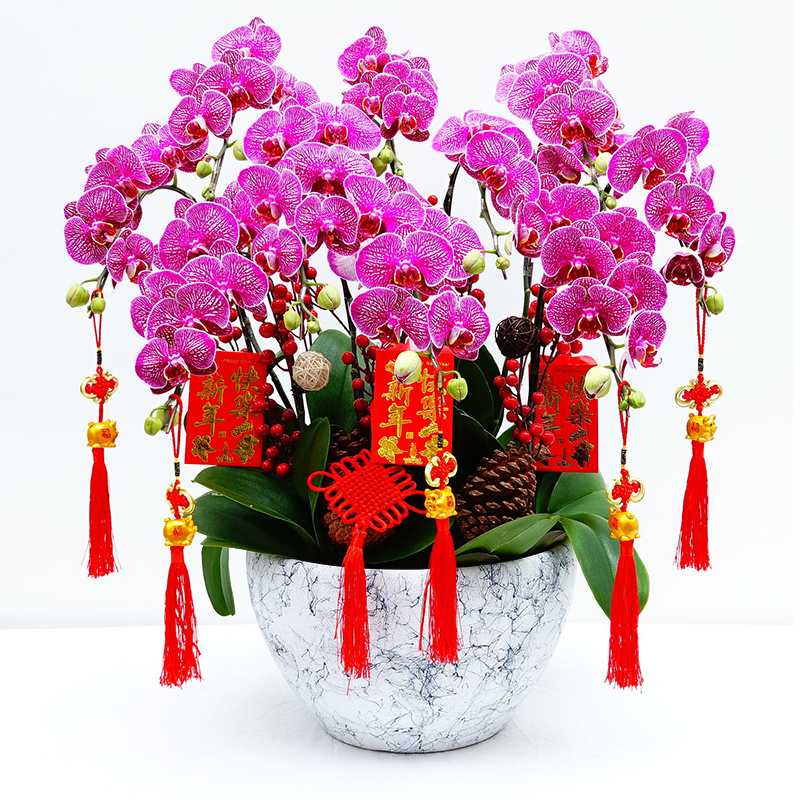 什么花卉開花時(shí)間比較長