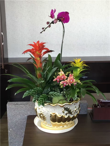 綠化草坪種植技術主要有這5點