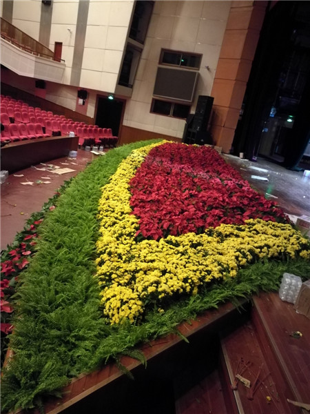 北京花卉植物菊花的種植簡單，記住這4點，開花更大