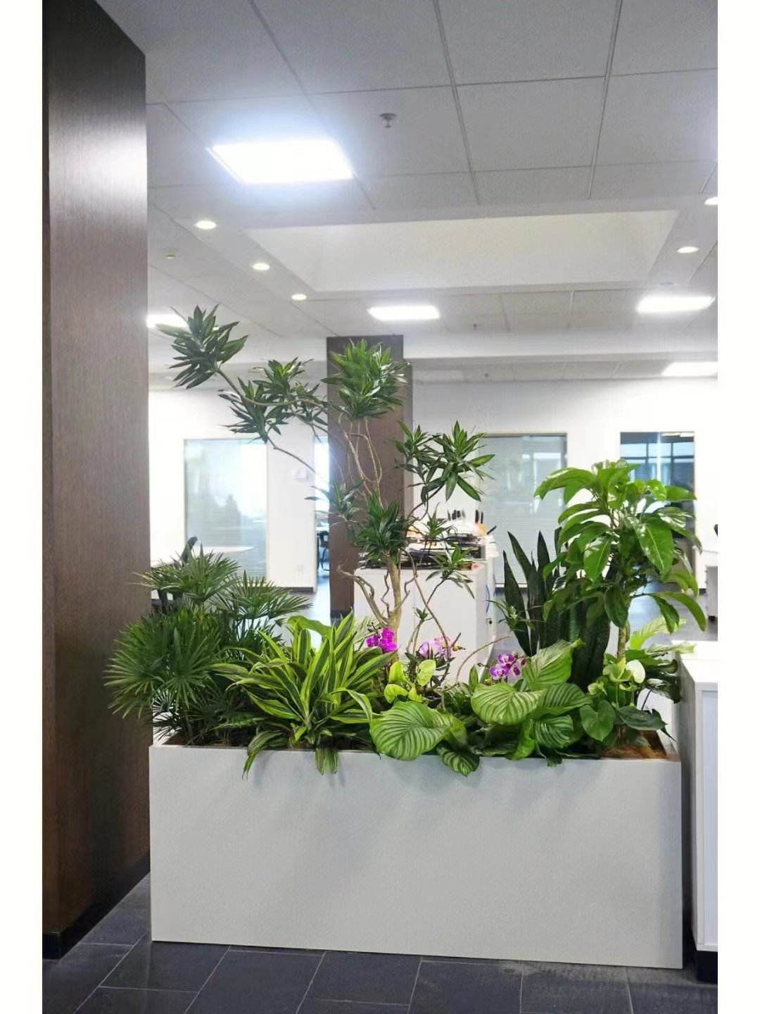 北京世紀匯通園藝養(yǎng)護綠植的標準。