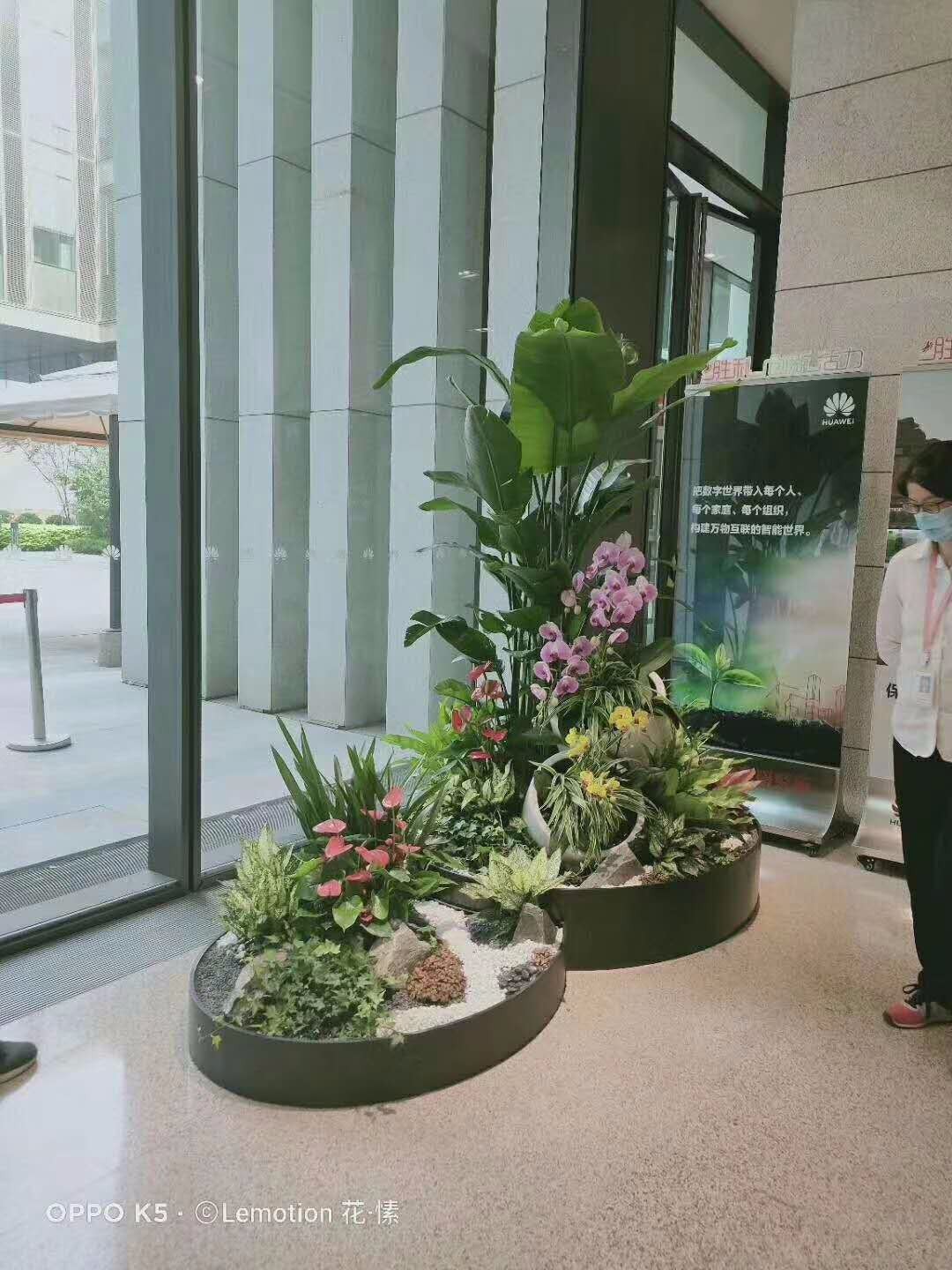 辦公室綠植租賃：營造良好的會(huì)議室綠植環(huán)境美化。