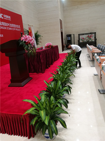 矮牽牛冬天怎么養(yǎng)？注意這5個(gè)養(yǎng)護(hù)細(xì)節(jié)，就能安全越冬！