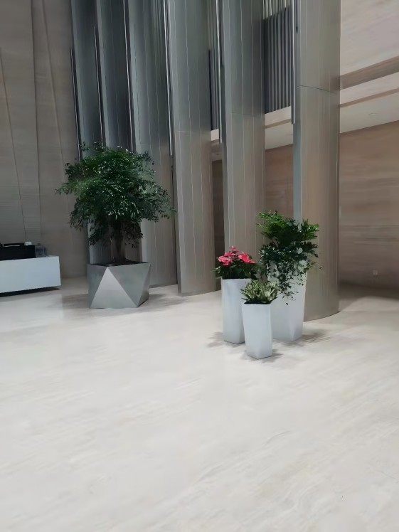 寫(xiě)字樓辦公室綠植租擺公司