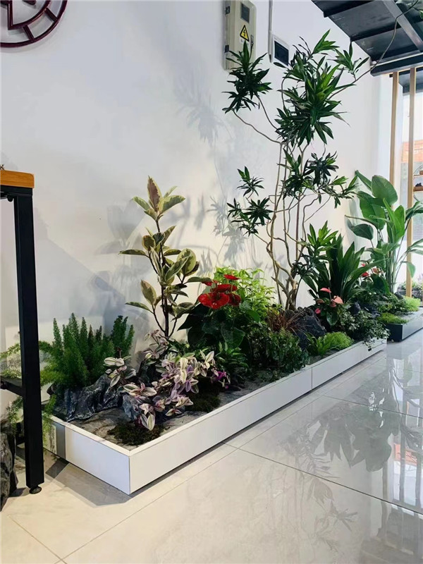 北京綠植租擺專(zhuān)業(yè)綠植租擺公司